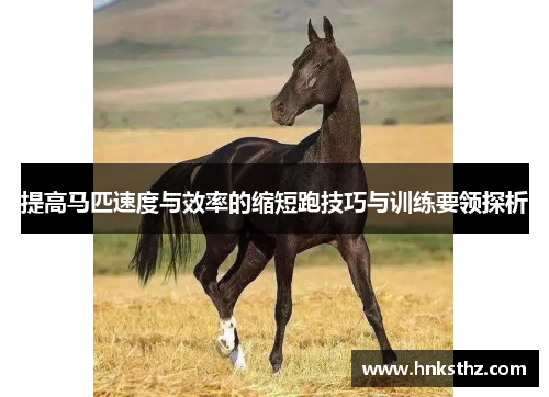 提高马匹速度与效率的缩短跑技巧与训练要领探析