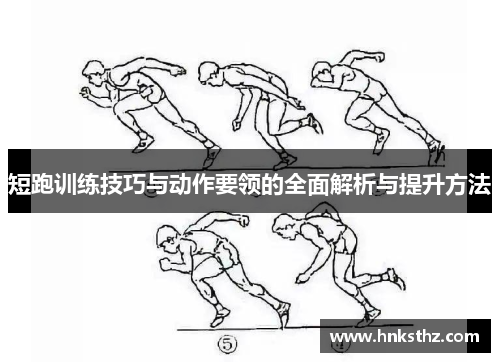 短跑训练技巧与动作要领的全面解析与提升方法