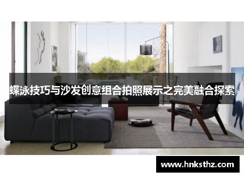 蝶泳技巧与沙发创意组合拍照展示之完美融合探索